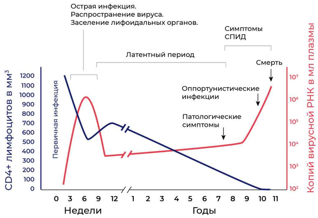 Статистика