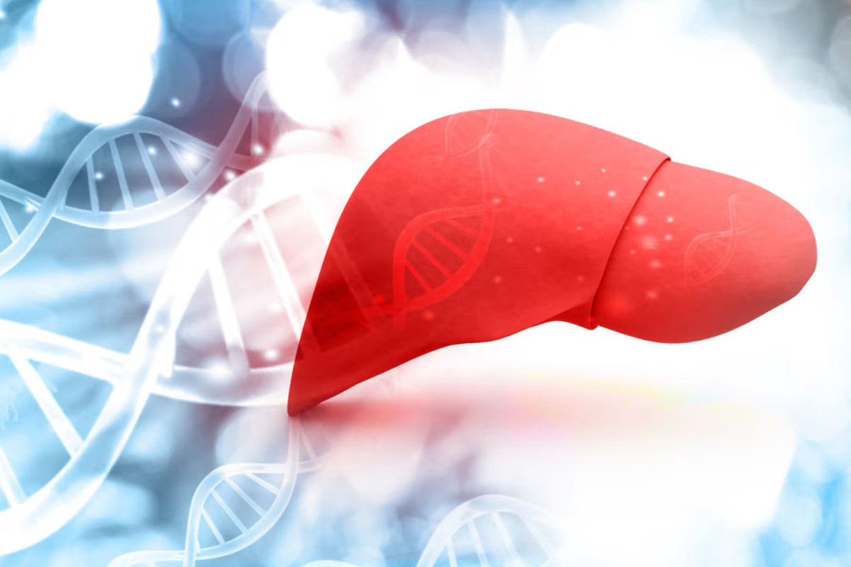 Профилактика и поддержка